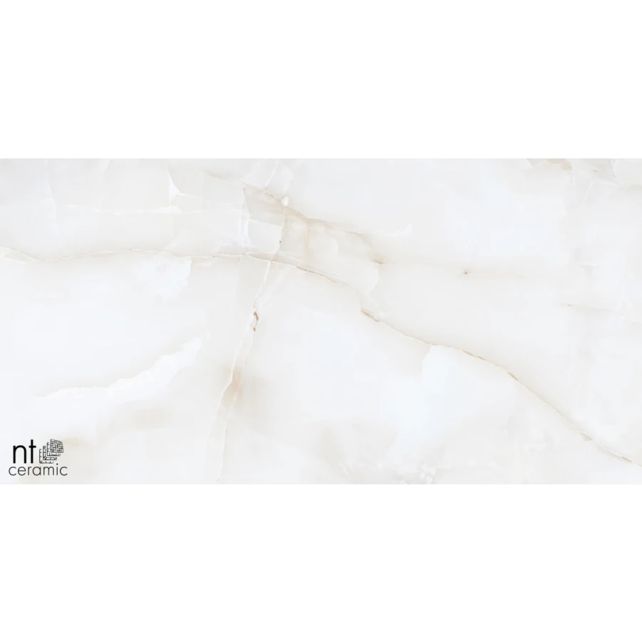 Керамогранит NT Ceramic Onyx Majestic Полированный NTT99503P 120х60 см