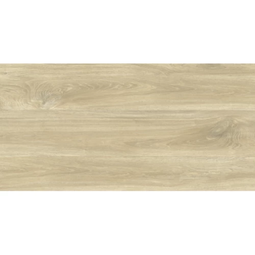 Керамогранит Gresse Ajanta-ash лотус GRS011-17 120х60 см