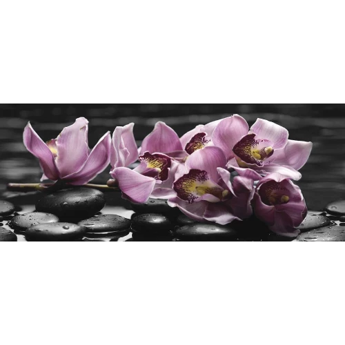 Декор Mosplitka Спа Орхидея 2 многоцветный 20х50 см