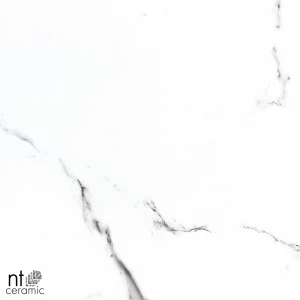 Керамогранит NT Ceramic Bright and Shiny NTT9100 Полированный BB6NTT9100P 60х60 см