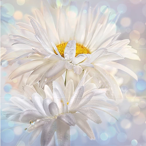 Панно Cersanit Muza C-MU2T053DT 60х60