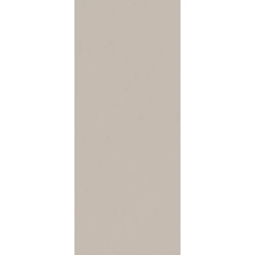 Плитка настенная Fap Ceramiche True Color Fossil RT матовая серая fTDU 120x50 см