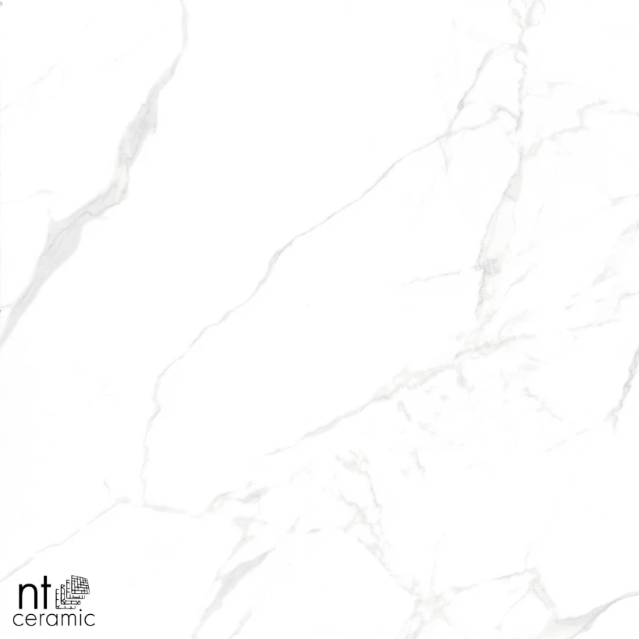 Керамогранит NT Ceramic Marmo Callacata carving Карвинг NTT996070M 60х60 см