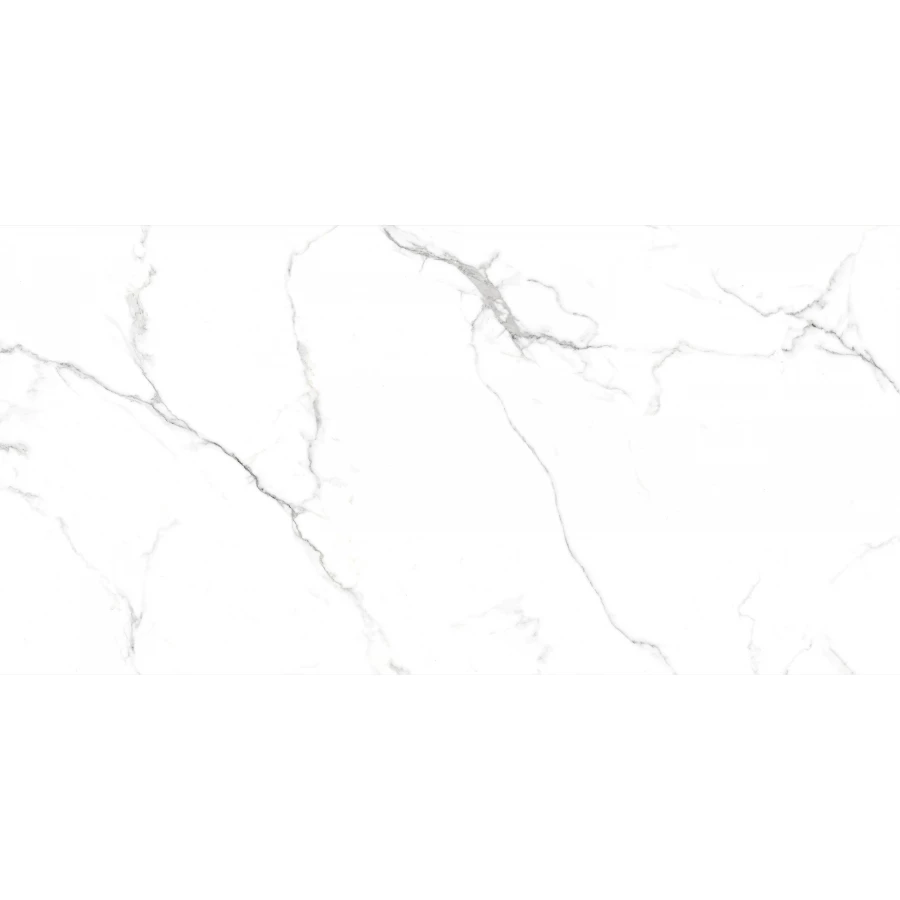 Керамогранит Casati Ceramica PGVT Сlassic Statuario 120х60 см