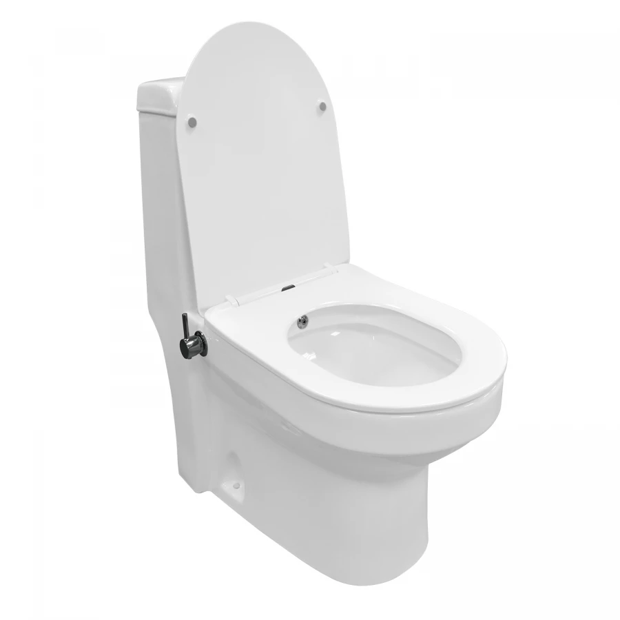 Унитаз-моноблок Azario Brusco напольный со встроенной функцией биде в комплекте с сиденьем дюропласт микролифт AZ-1085B 70x38x80.5 см