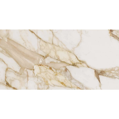 Керамогранит Ocean Ceramic India Loyal OC0000093 120х60 см