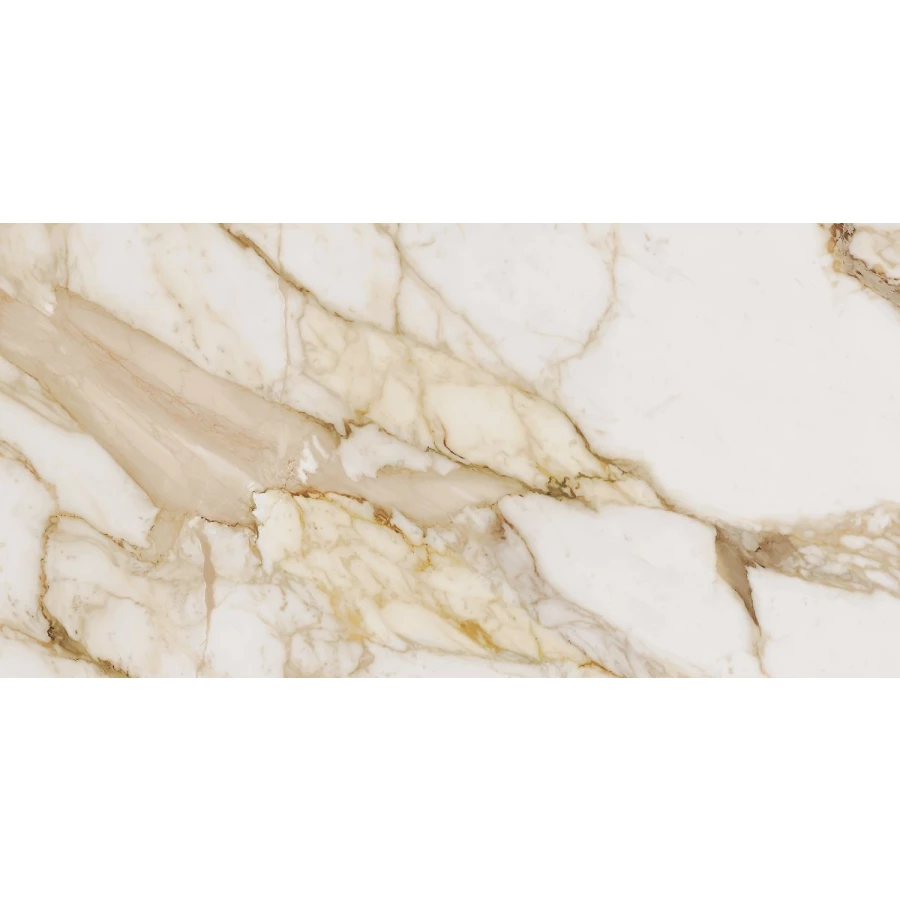 Керамогранит Ocean Ceramic India Loyal OC0000093 120х60 см