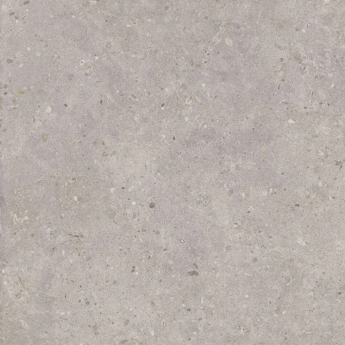 Керамогранит Kerama Marazzi Риккарди серый светлый матовый обрезной SG653720R 60x60 см