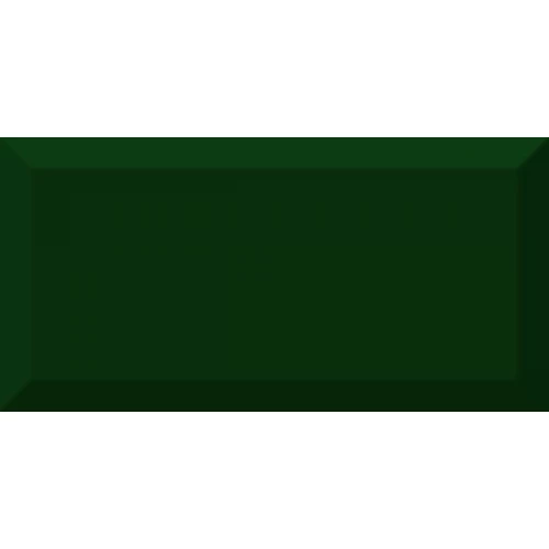 Плитка настенная Absolut Keramika Monocolor Biselado Botella Brillo ABC0000051 20х10 см