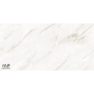 Керамогранит NT Ceramic Marmo Empire Pearl Endless Полированный NTT99525P 120х60 см
