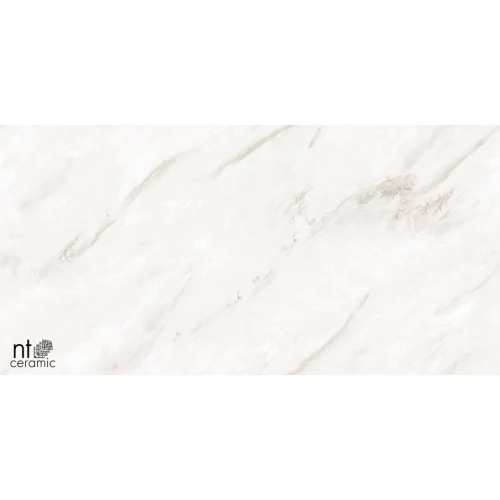 Керамогранит NT Ceramic Marmo Empire Pearl Endless Полированный NTT99525P 120х60 см