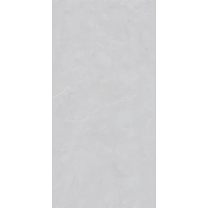Керамогранит Basconi Home Cateye Light Grey grains soft-polished mould BHW-0023 120х60 см