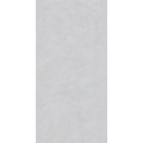 Керамогранит Basconi Home Cateye Light Grey grains soft-polished mould BHW-0023 120х60 см