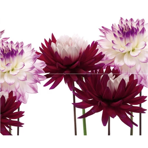 Панно Cerrol Matiz А из 2пл 50х60