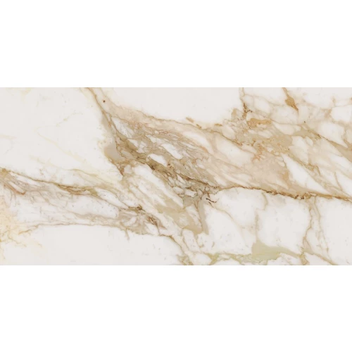 Керамогранит Ocean Ceramic India Loyal OC0000093 120х60 см