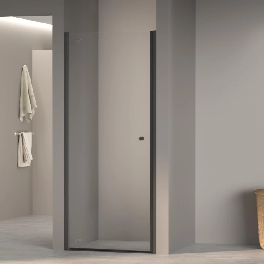 Душевая дверь RGW Dolphin TN-03B Прозрачное 800 54930308-14