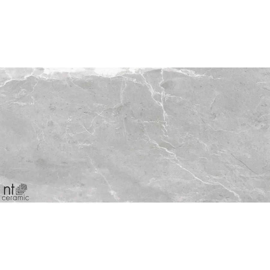 Керамогранит NT Ceramic Quanta Grey Slate Grey Лаппатированный NS612NTT9026L 120х60 см
