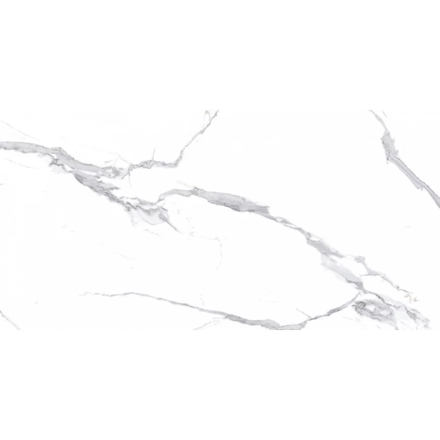 Керамогранит Ceradim Calacatta Splendid Silver Полированный белый 120х60 см