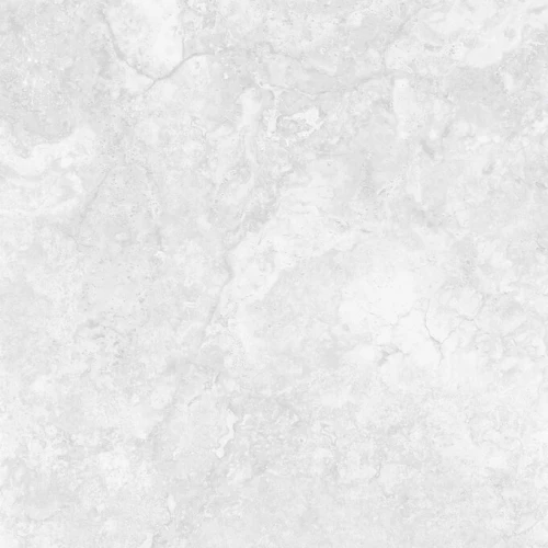 Керамогранит Planet Ceramics F6958W-06 matt матовый светло-серый 60х60 см