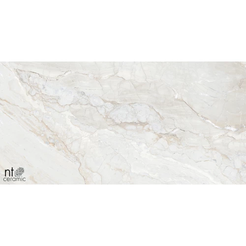 Керамогранит NT Ceramic Gravel White Полированный NTT99508P 120х60 см