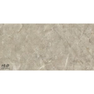 Керамогранит NT Ceramic Quanta Grey NTT9021 Лаппатированный NS36NTT9021L 60х30 см