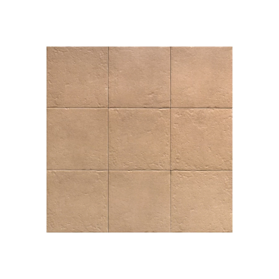 Керамогранит Mainzu Canem Terra Canem Seasons матовый коричневый PT03858 20х20 см