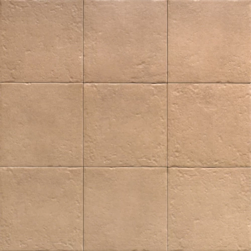 Керамогранит Mainzu Canem Terra Canem Seasons матовый коричневый PT03858 20х20 см