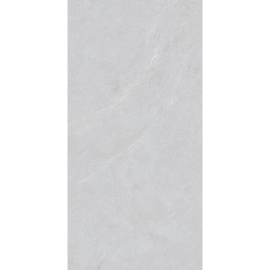 Керамогранит Basconi Home Cateye Light Grey grains soft-polished mould BHW-0023 120х60 см