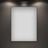 Зеркало Wellsee LED-подсветка нет форма прямоугольная 172200560-172200570 50х75 см