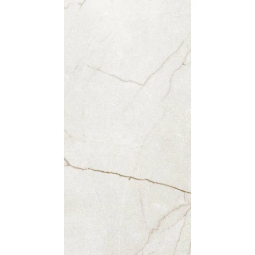 Керамогранит Argenta Раффаэлло Айвори Матт Артеч / Raffaello Ivory Matt Artech матовый белый 8435592066462 120х60 см