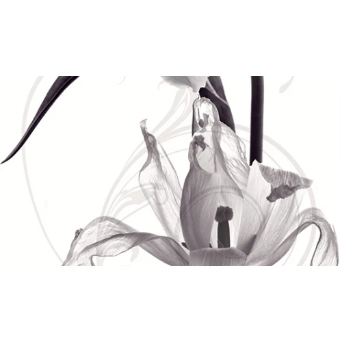 Панно Ceradim Dec Pulsar A КПН16PulsarA 25х45