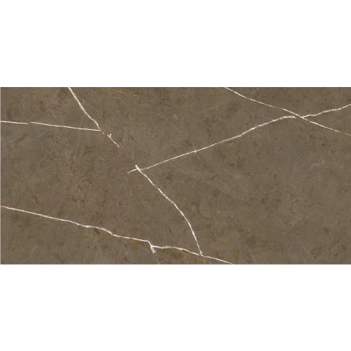Керамогранит Basconi Home Stone Brown BHM-5009 120х60 см