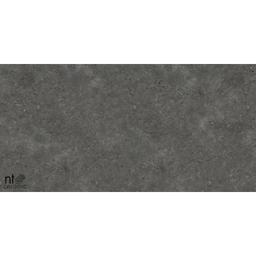 Керамогранит NT Ceramic Concrete NTT77003 Лаппатированный PP459NTT77003L 90х45 см