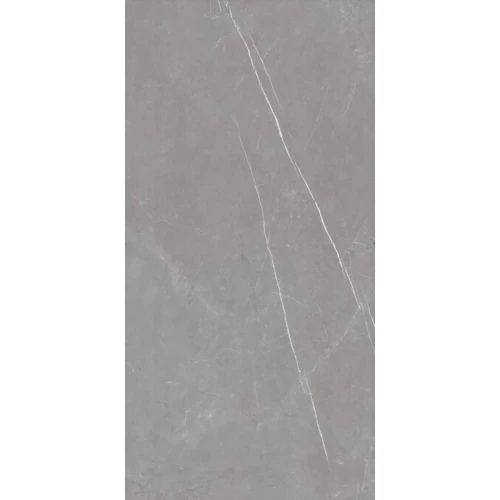 Керамогранит ProGRES Logan матовый серый PRO 0249M 120х60 см