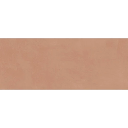 Плитка настенная Kerama Marazzi Каннареджо матовая оранжевая 7254 50x20 см