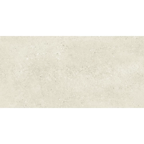 Керамогранит Buono Terrazzo Light Ivory Matt матовый бежевый THS4804M 120х60 см