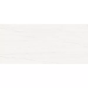 Керамическая плитка Atlas Concorde Marvel Stone Bianco Dolomite 110 50X110 