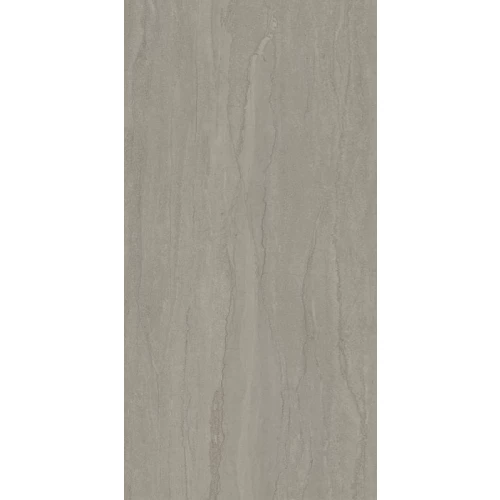 Керамогранит Argenta Еастоне Таупе Артеч / Eastone Taupe Artech матовый серый 8435592060781 120х60 см