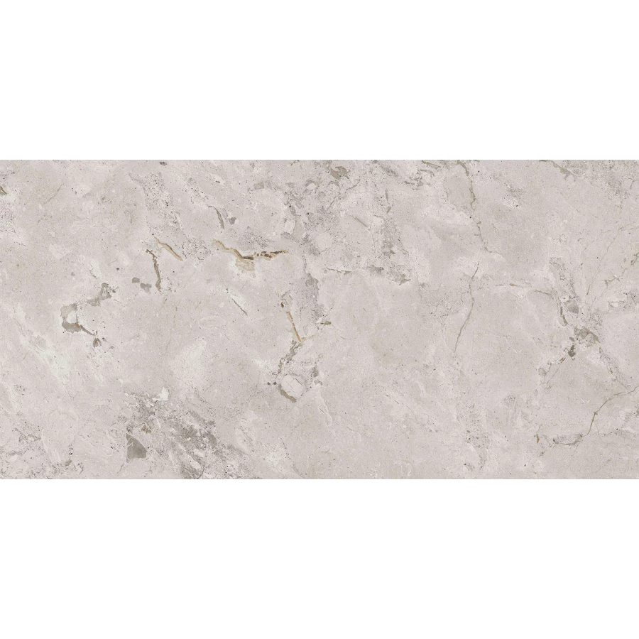 Керамогранит Cerdomus Karnis silver safe matt 93488 120х60 см