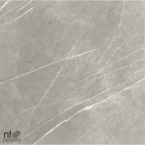 Керамогранит NT Ceramic Bright and Shiny NTT9102 Полированный BB6NTT9102P 60х60 см