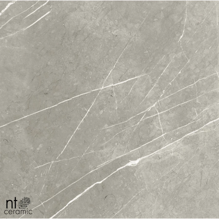 Керамогранит NT Ceramic Bright and Shiny NTT9102 Полированный BB6NTT9102P 60х60 см