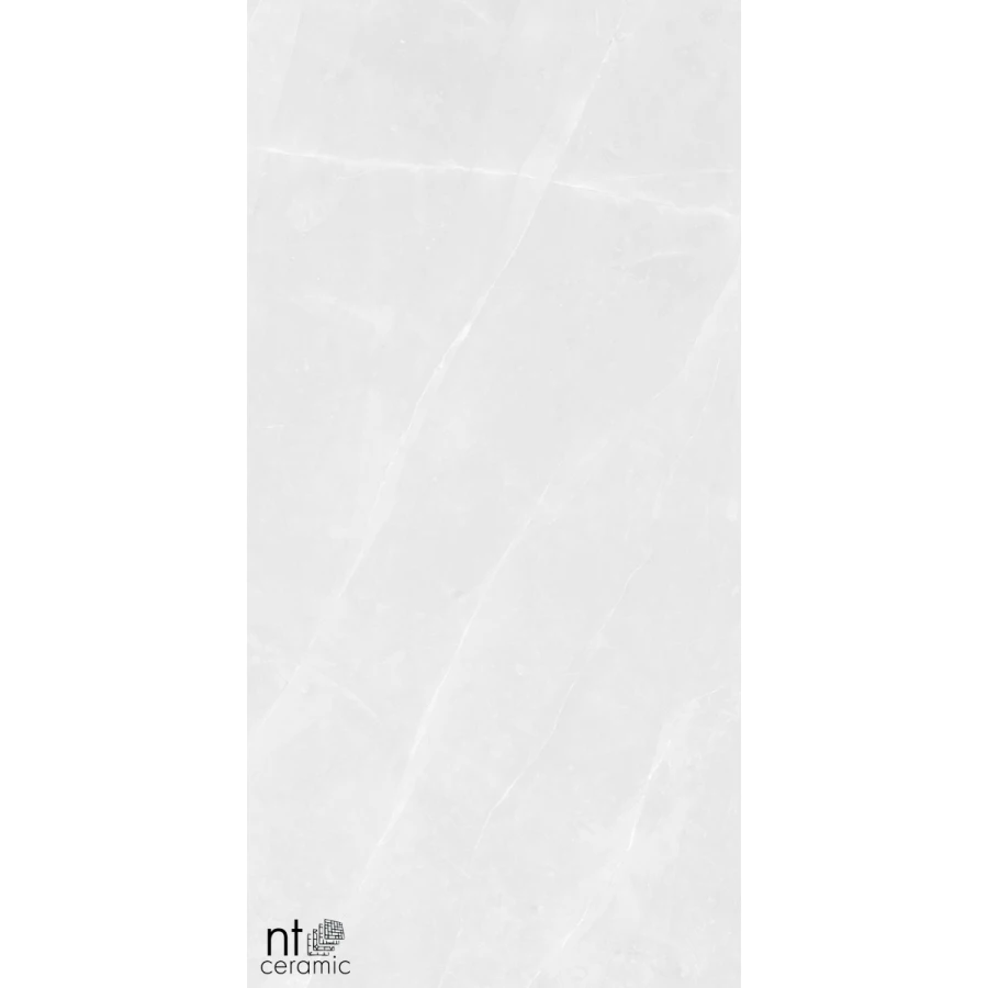 Керамогранит NT Ceramic Granite Limestone White Structura Матовый NTT99618M 120х60 см