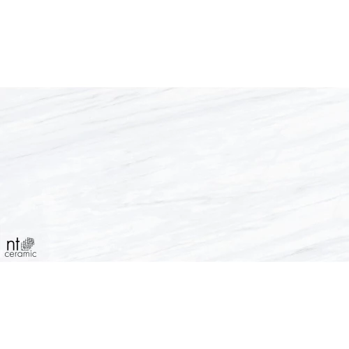 Керамогранит NT Ceramic Aurora NTT9801 Полированный AU612NTT9801P 120х60 см