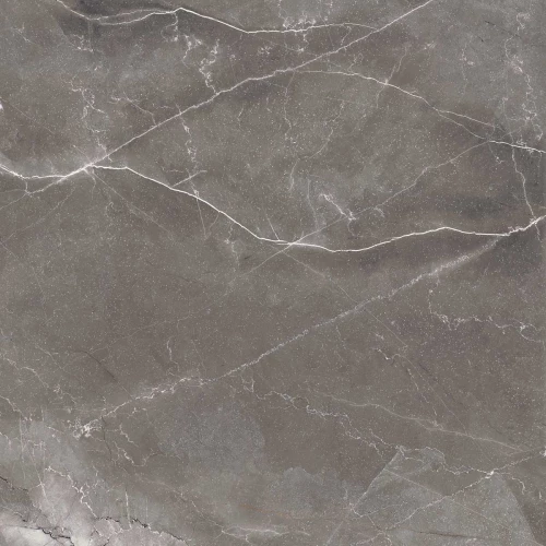 Керамогранит Arcadia Ceramica Pulpis Nero Full Polished серый FP1014-A 60х60 см