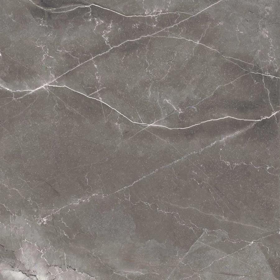 Керамогранит Arcadia Ceramica Pulpis Nero Full Polished серый FP1014-A 60х60 см