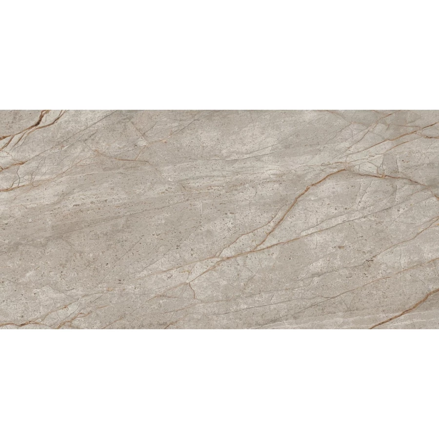 Керамогранит Atlas Concorde Эмпаир Сильвер Рут Рет Лап 610015000618 120х60 см