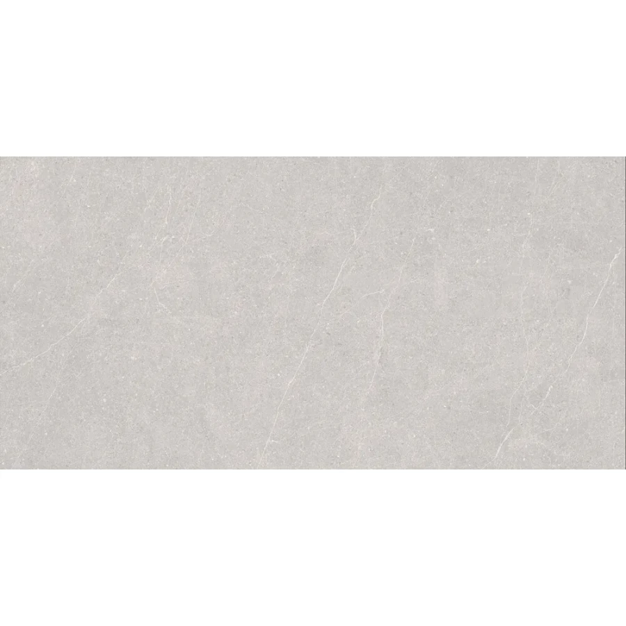 Керамогранит Duna Elenta Ash Carving светло-серый RP-238578 120х60 см