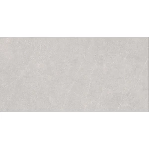 Керамогранит Duna Elenta Ash Carving светло-серый RP-238578 120х60 см