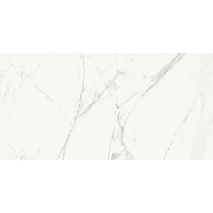 Керамогранит Delacora Porfido Carrara матовый белый 60120PFC15M 120х60 см