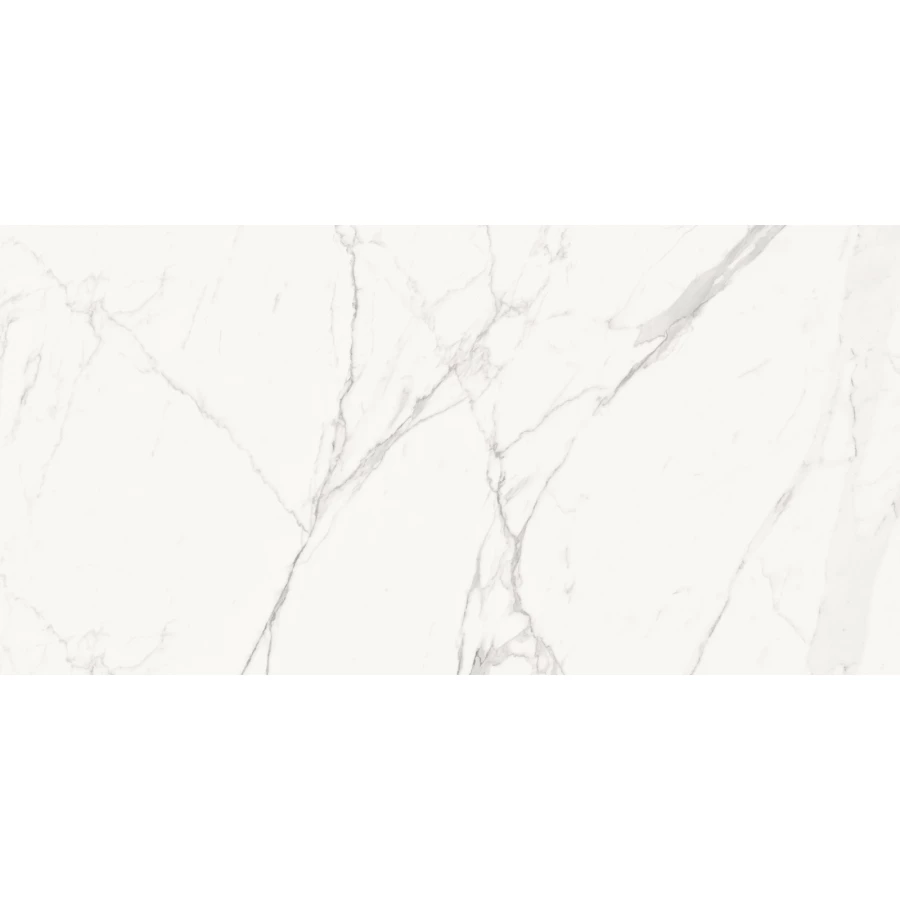 Керамогранит Delacora Porfido Carrara матовый белый 60120PFC15M 120х60 см